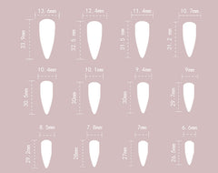 Shell Flower（Handmade press on nails）/10Pcs Stiletto Nails
