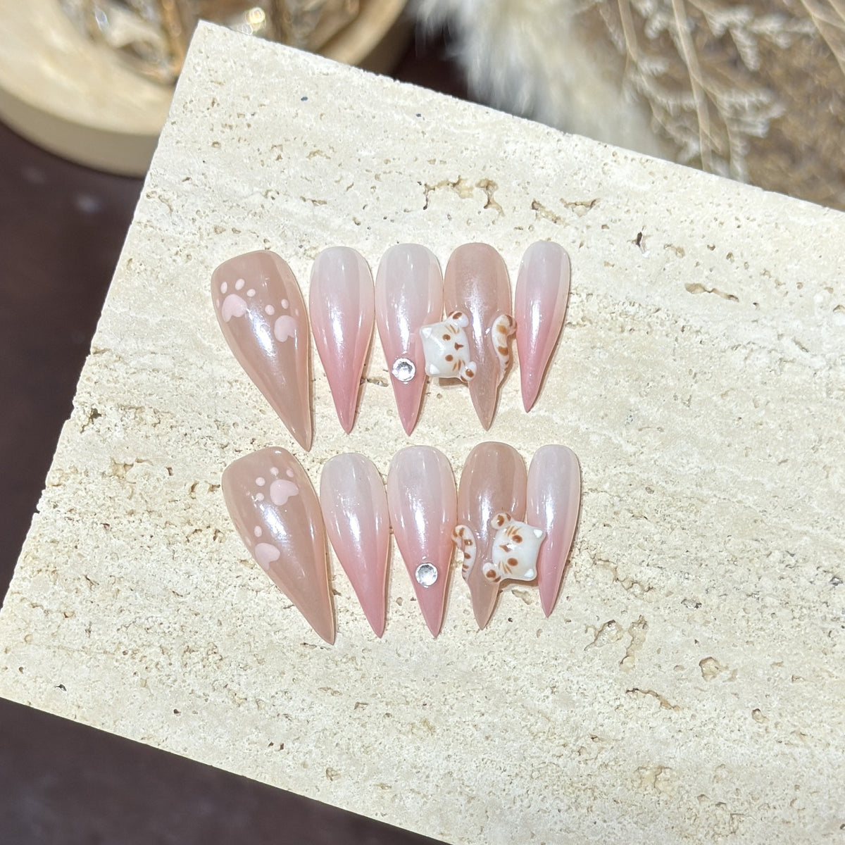 Aurora Cat & Cat / Dragon Claw（Handmade press on nails）/10Pcs Sharp Nails
